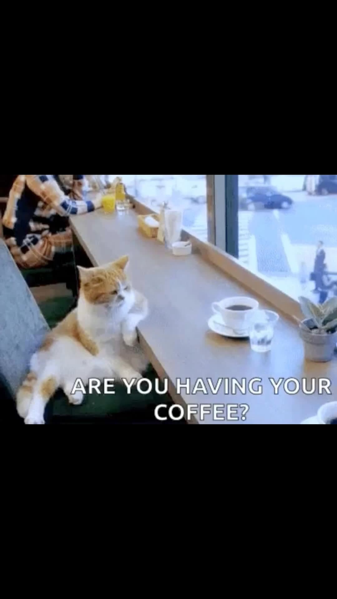Video review of Caffè Nero by Adventurer in London