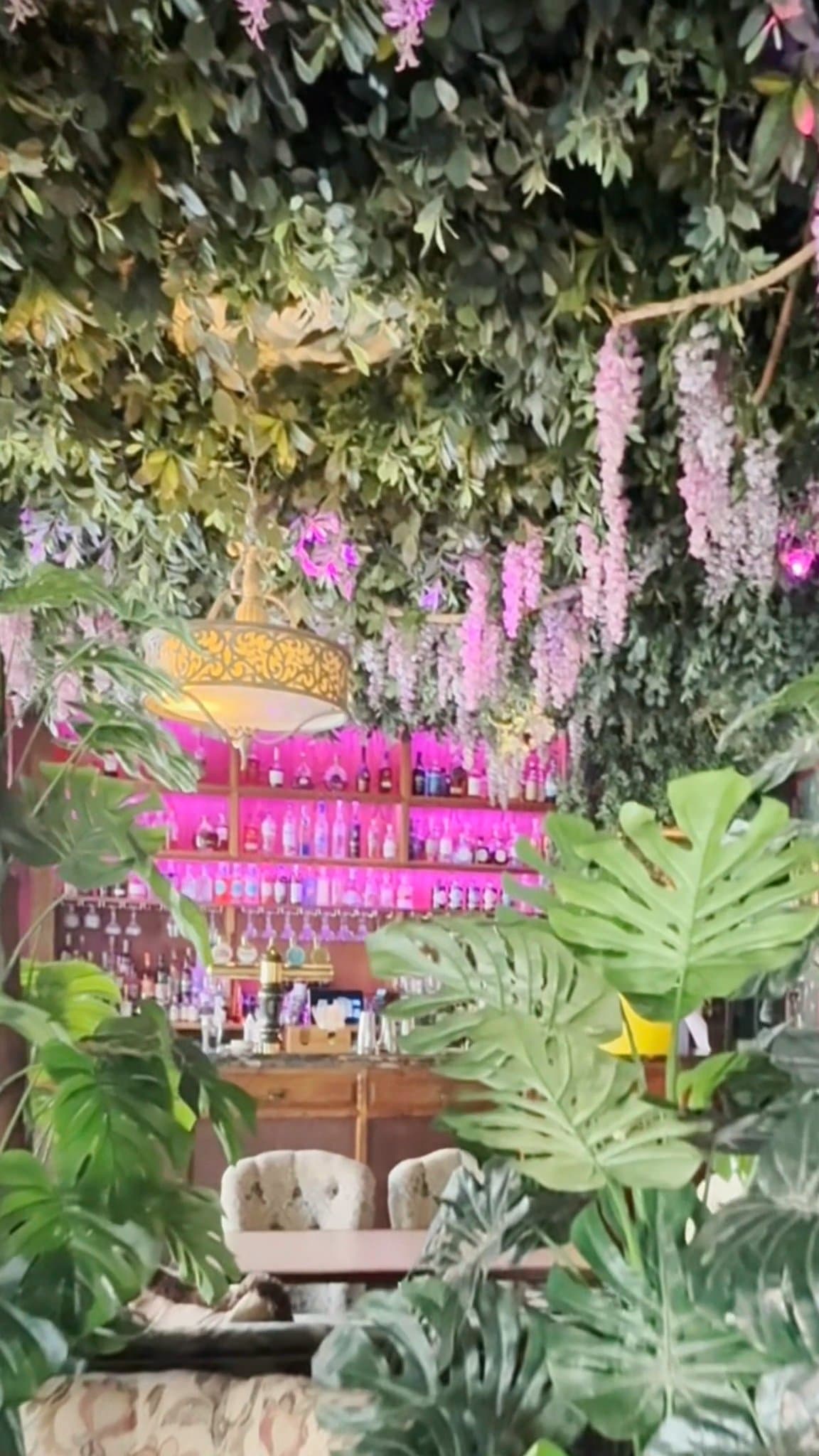 Video review of Mr Fogg's Botanical Tavern by Melissa