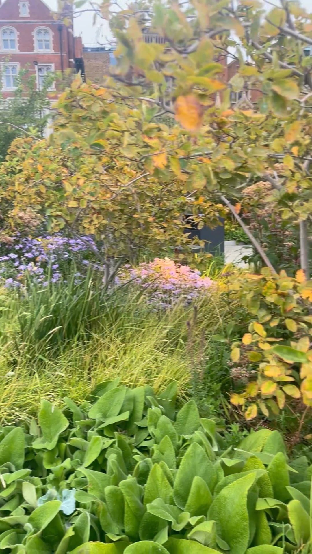 Video review of Petit Pret by Adventurer in London