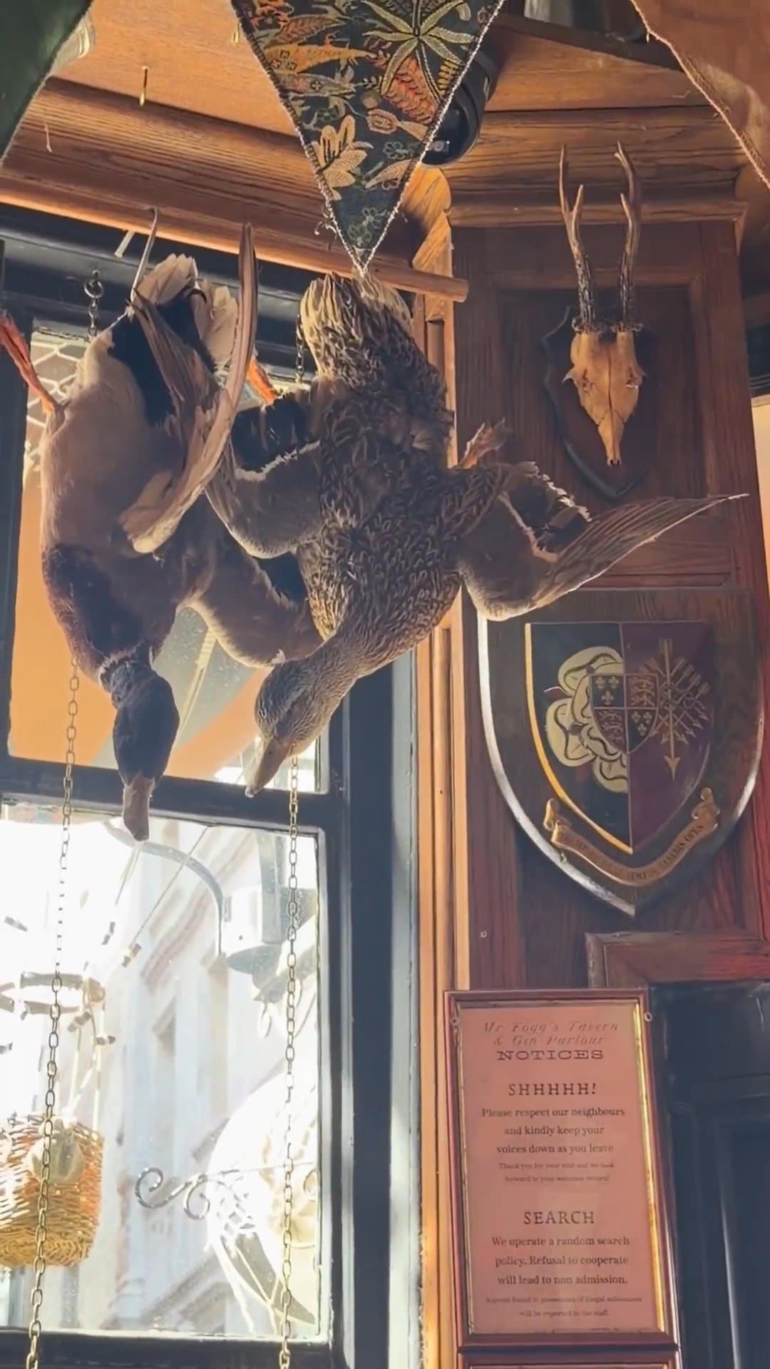 Video review of Mr Fogg's Tavern by IraK