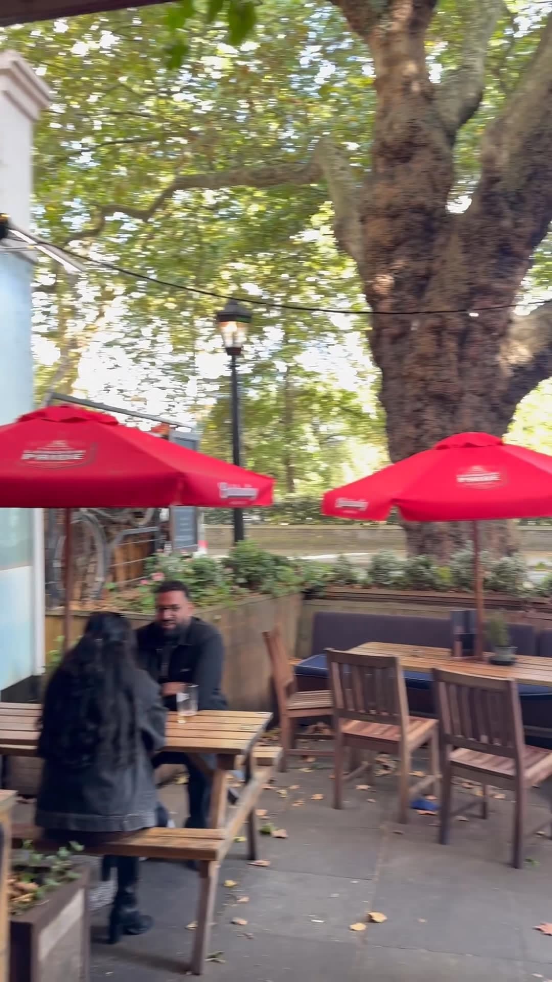 Video review of The Swan, Hyde Park by Elena